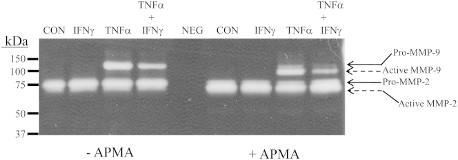 Figure 5