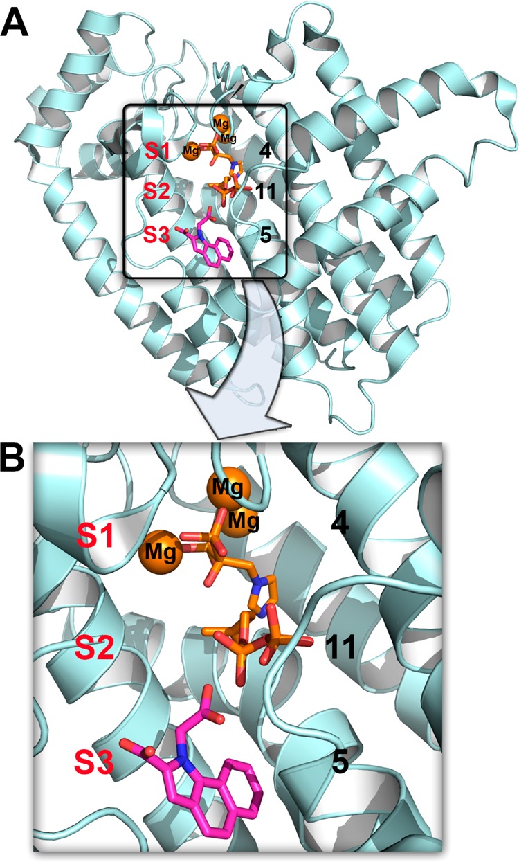 Figure 2