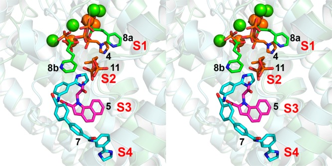 Figure 5