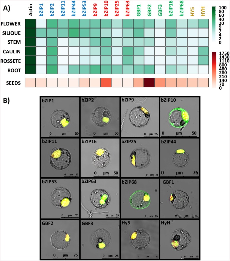 Fig 6