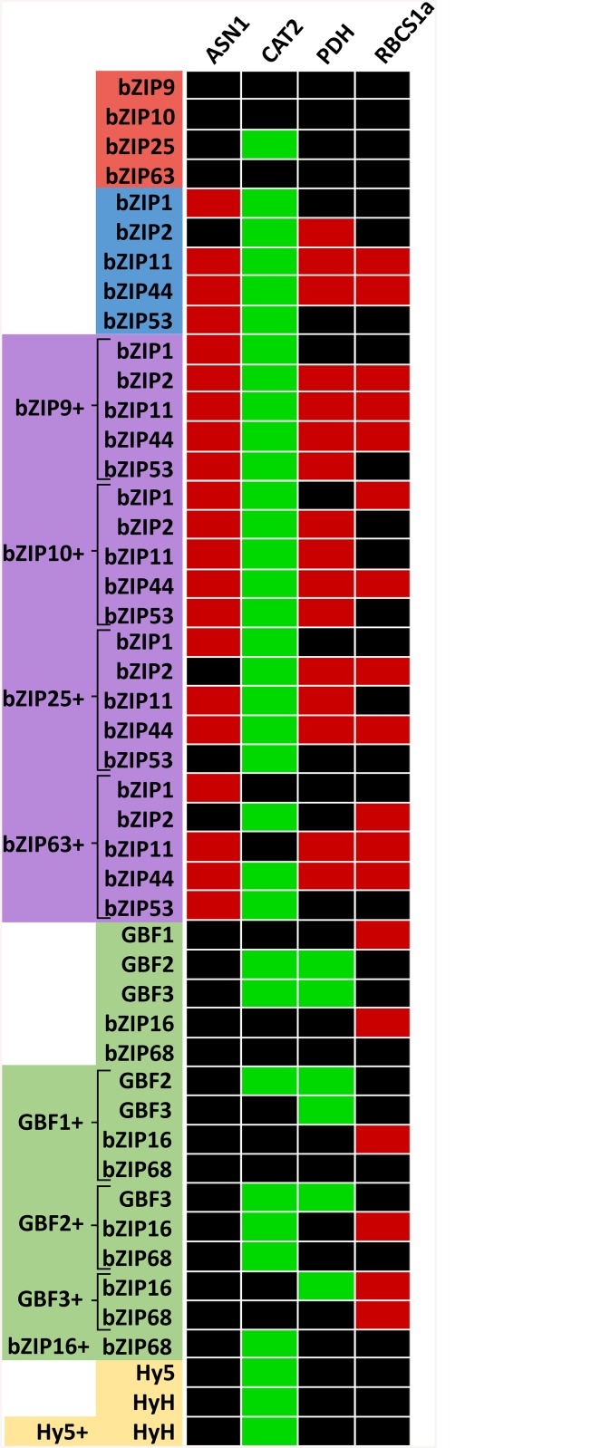 Fig 5