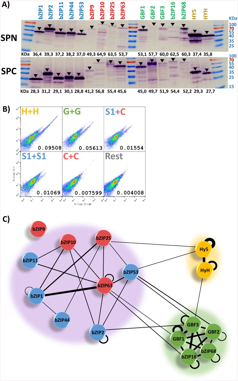 Fig 3