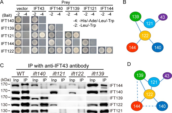 Fig 3