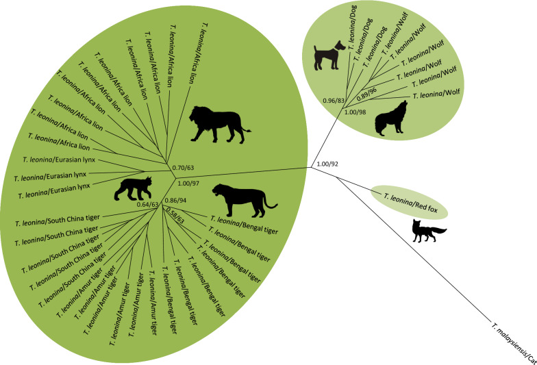 Fig. 3