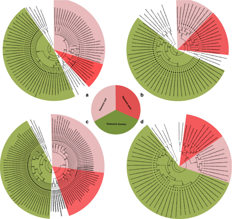 Fig. 2