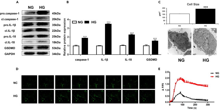 Figure 2