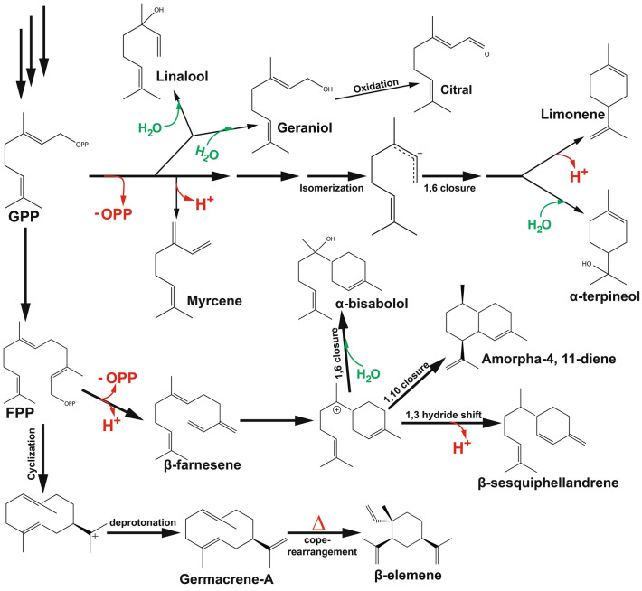 Fig. 2