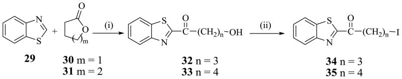 Scheme 3