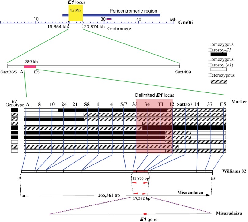 Fig. P1.