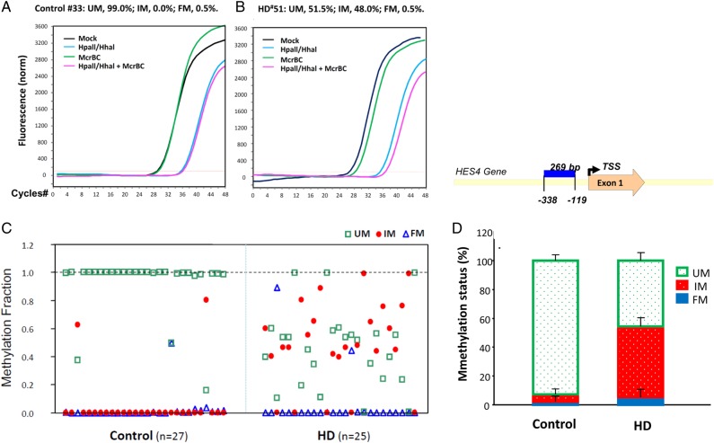 Figure 2.