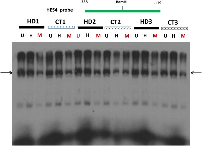 Figure 3.