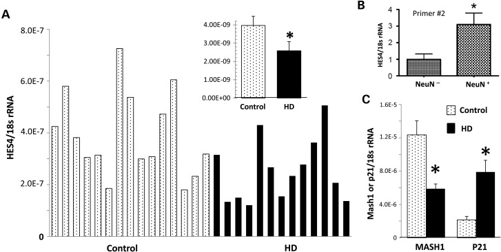 Figure 4.