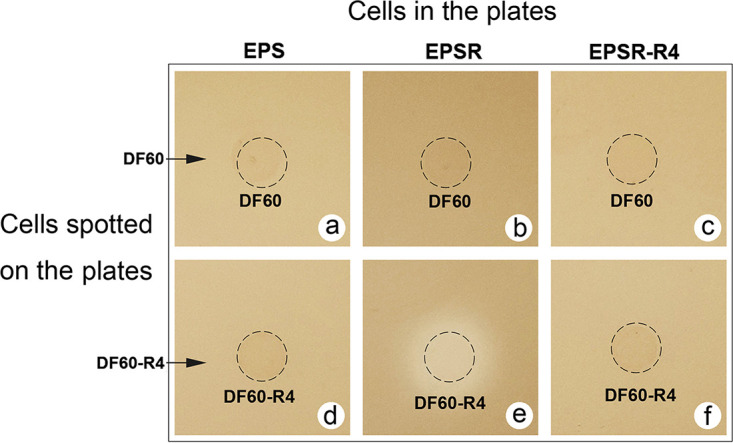 FIG 4