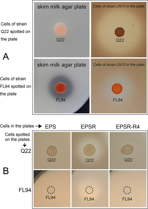 FIG 6