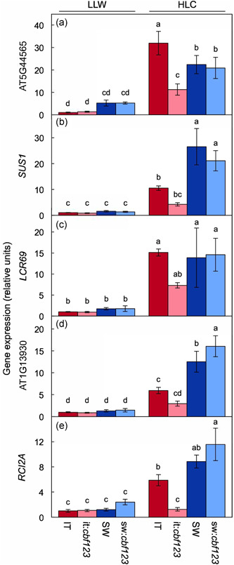 Figure 11