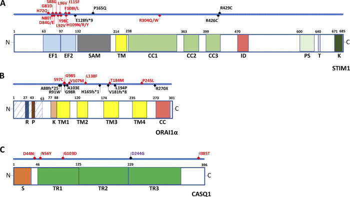 Figure 2.