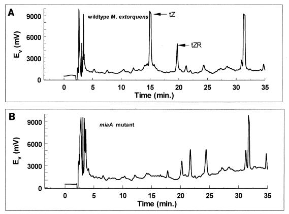 FIG. 8.