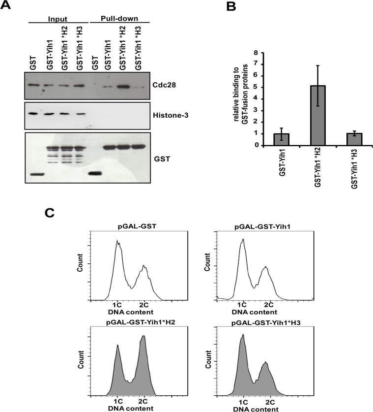 Fig 10