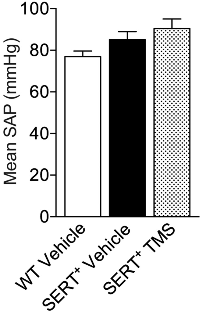 Figure S1