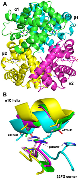 Fig. 5.