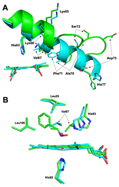 Fig. 8.