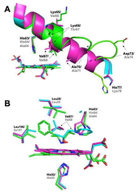 Fig. 9.