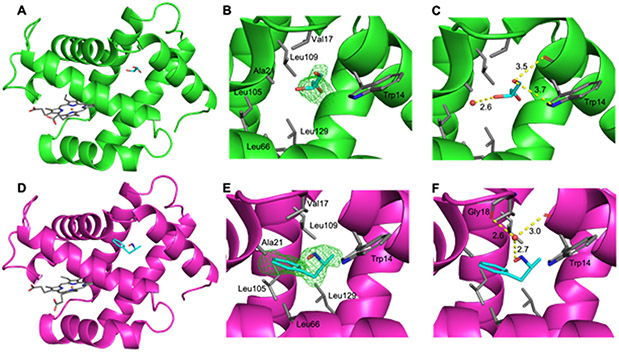 Fig. 10.