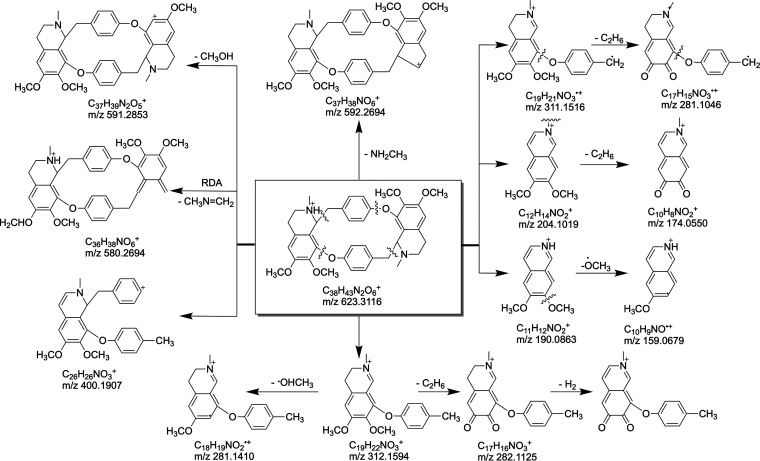 FIG 3