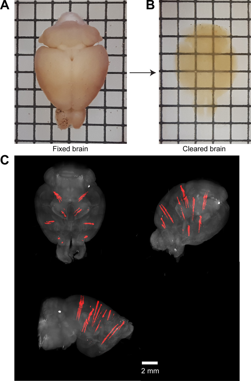 Figure 3.