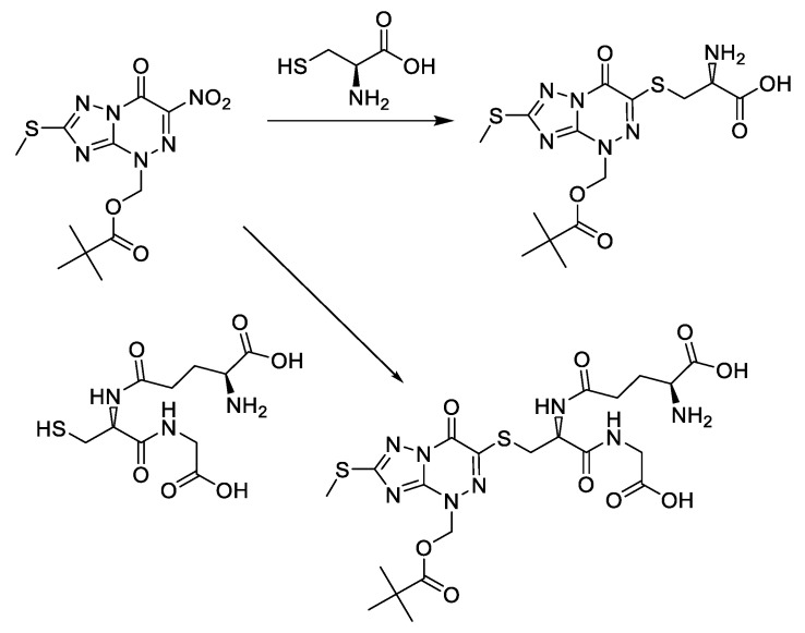 Scheme 23