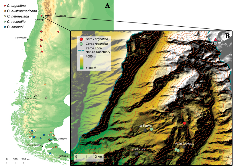 Figure 4.