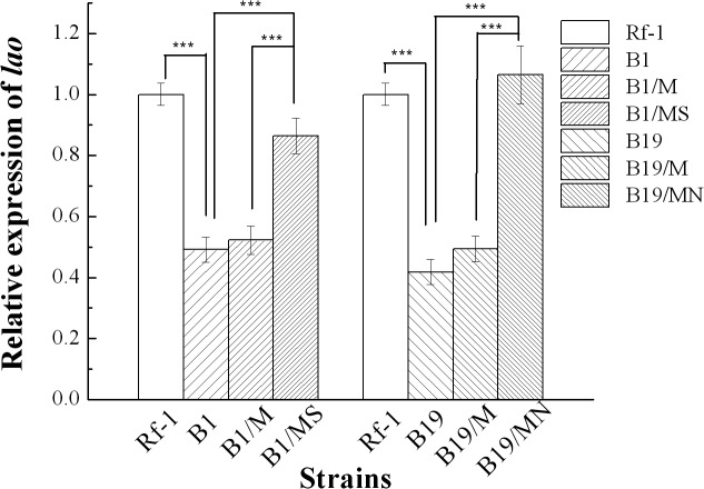 Fig 5