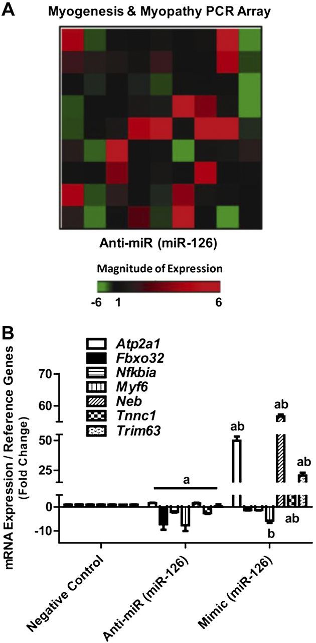 Figure 5.