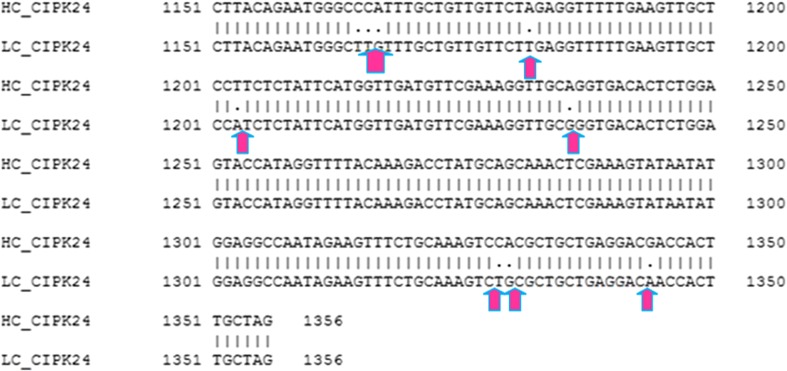 Fig. 3