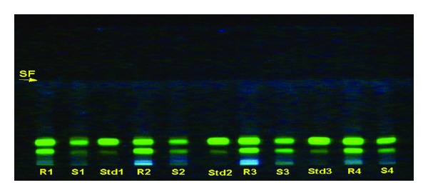 Figure 12