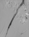 Figure 8: