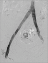 Figure 6: