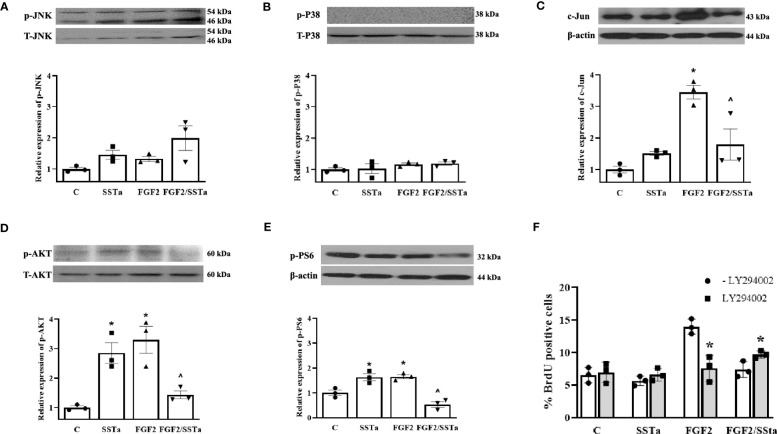 Figure 4