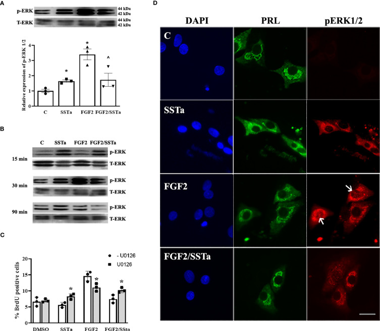 Figure 3