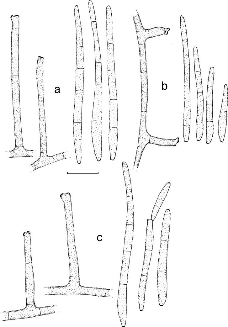 Fig. 14