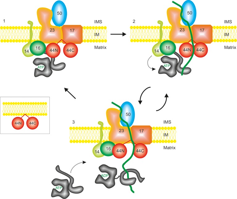 Figure 7.