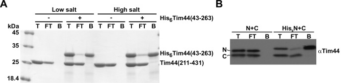 Figure 1—figure supplement 1.