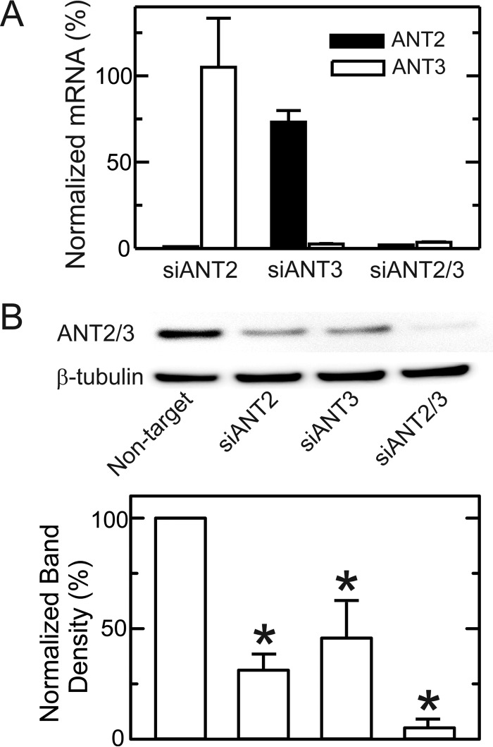 FIGURE 9.