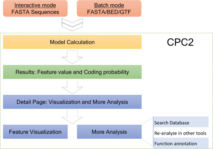 Figure 2.