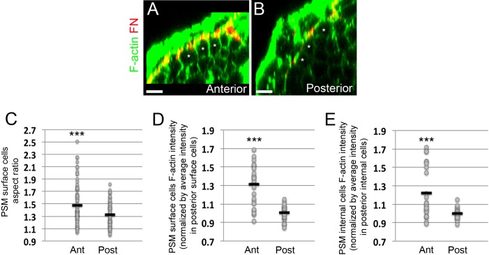 Figure 3—figure supplement 2.