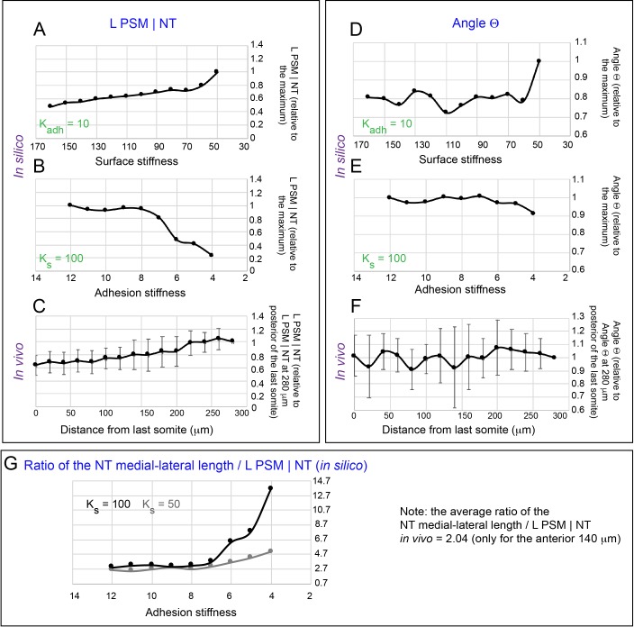 Figure 2—figure supplement 1.