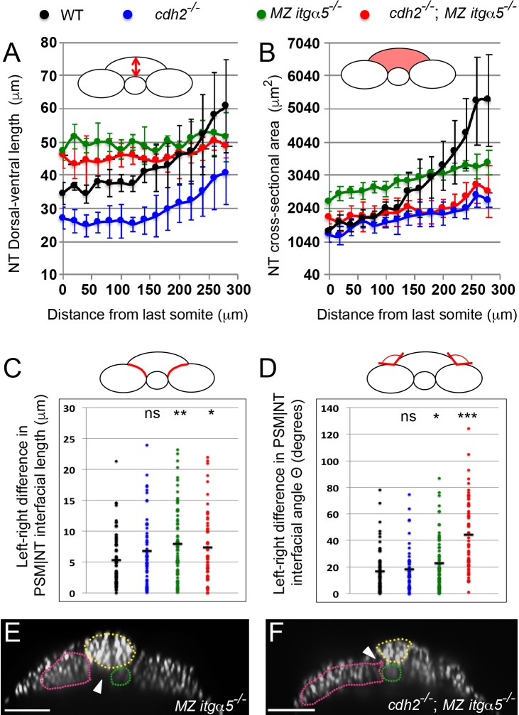 Figure 1—figure supplement 2.