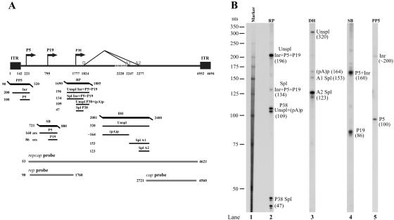 FIG. 5.