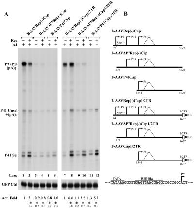 FIG. 8.