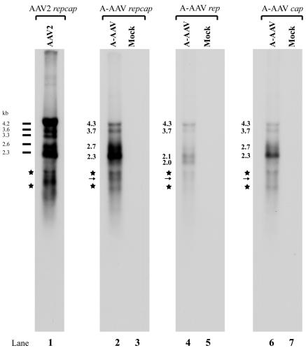 FIG. 6.